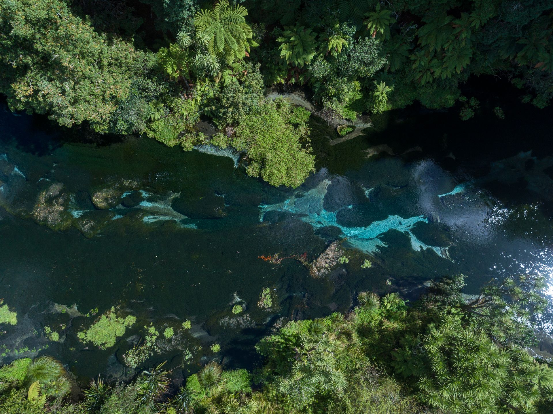 hamurana-springs_spring-from-above_credit-reuben-james.jpg