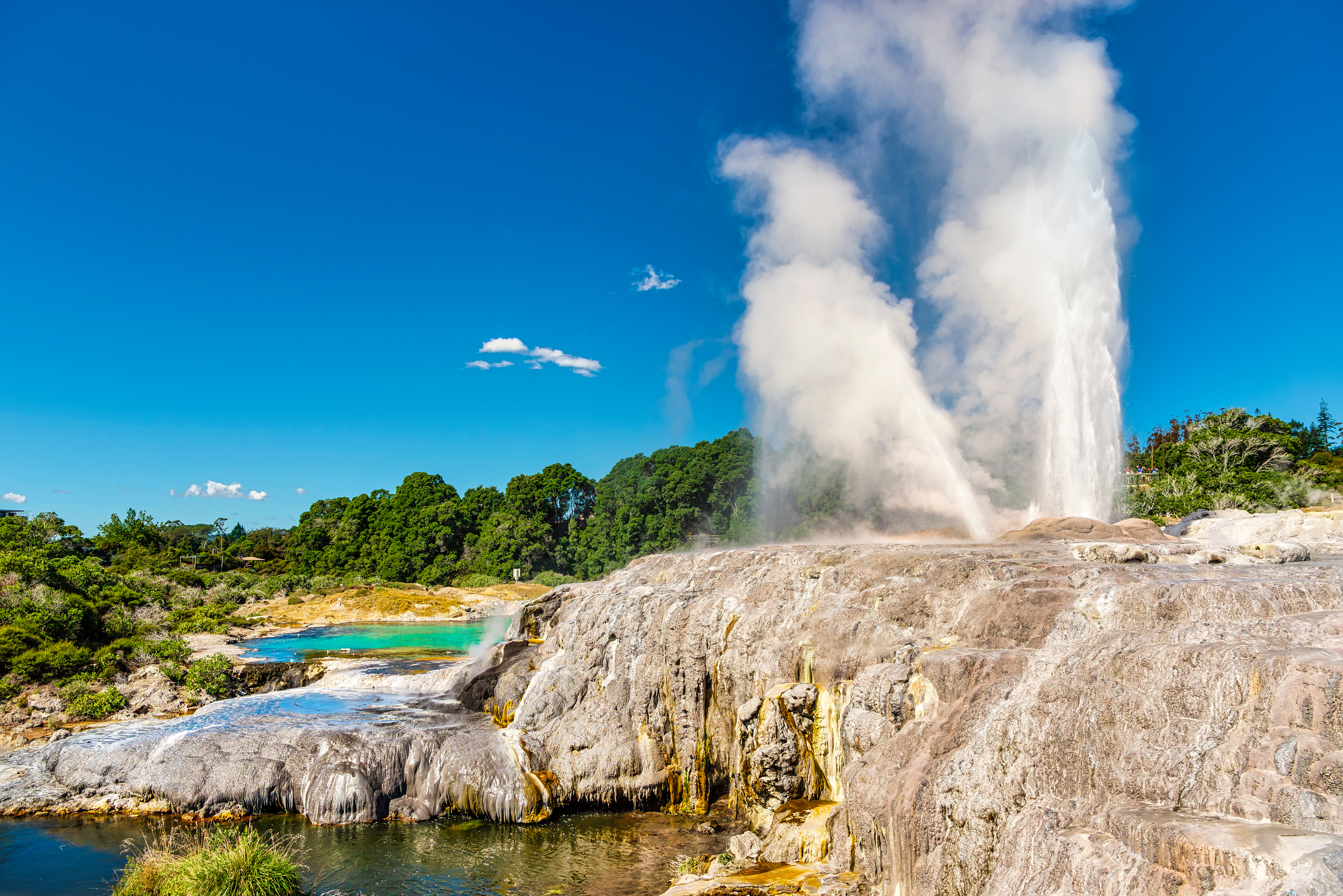 te-puia-geyser.jpg