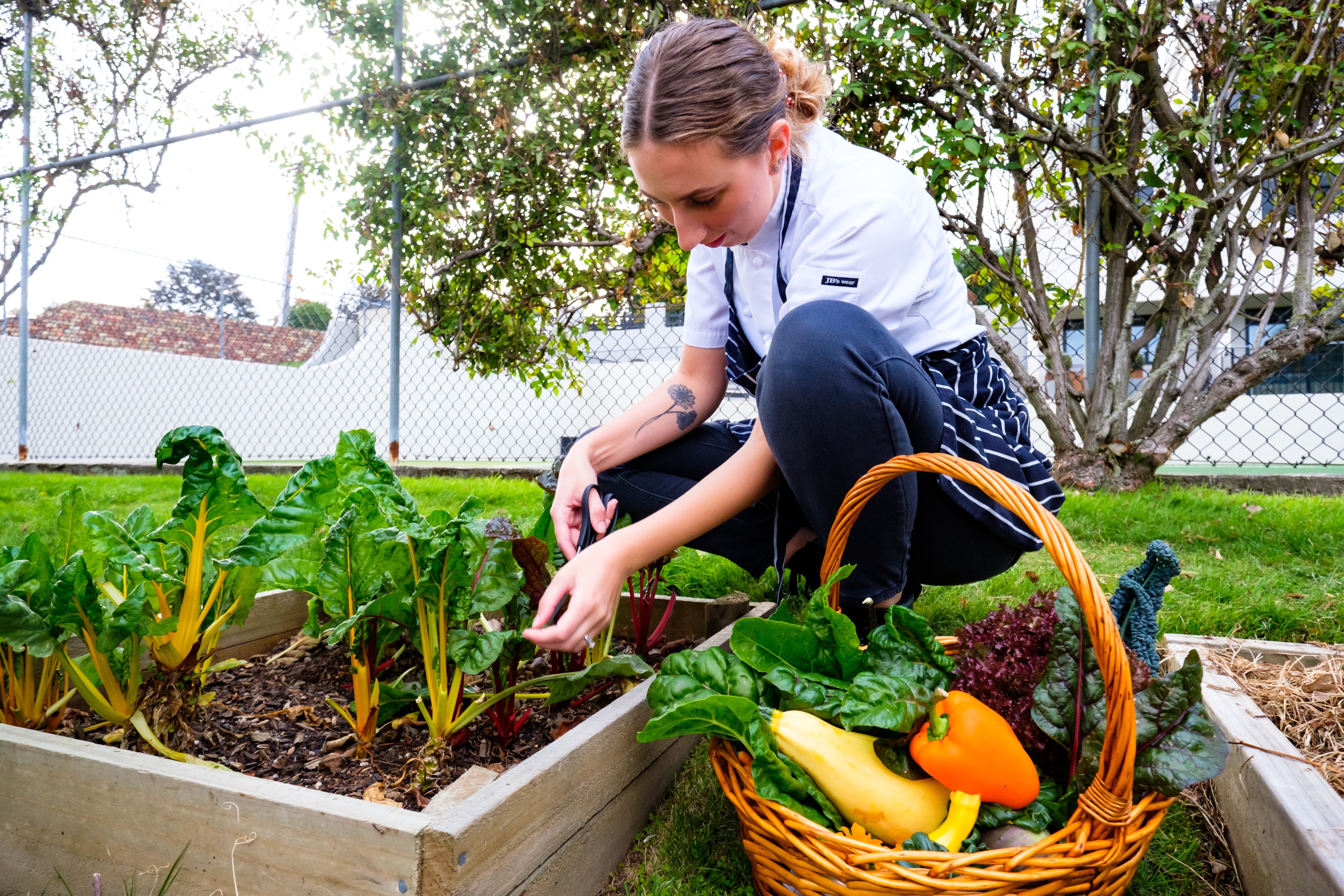 veggie-patch.jpg